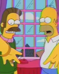 The Simpsons: Viva Ned Flanders